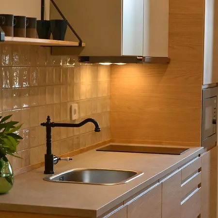 Apartamento Aixpe Boutique Osma